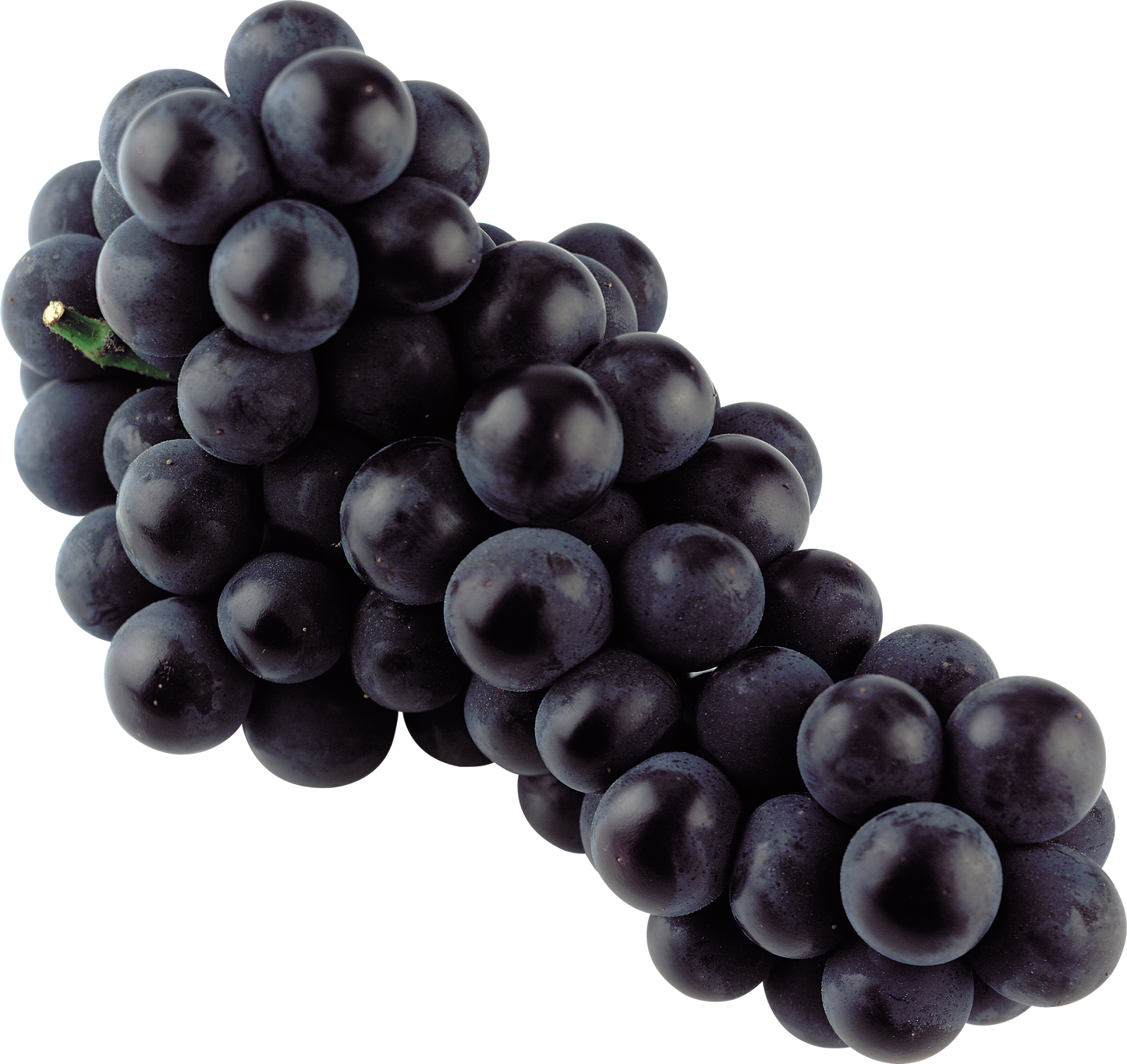 Black Seedless Grape